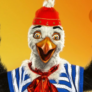 Zzzzz 17864243164eaff587 2aa7 4961 B1fc 8d5a5926e45a — masked singer faces option 734