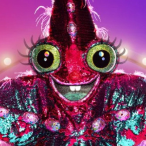 Zzzzz 17864243165d69e54a 801d 468a Bbfd 304066c1e8ac — masked singer faces option 730