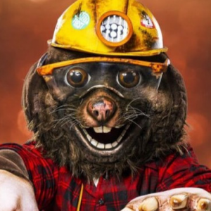 Zzzzz 17864243166417a510 5c77 4898 8f99 6d87afc18e53 — masked singer faces option 738