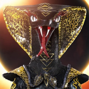 Zzzzz 178642431669f83997 84f7 4a48 A374 Bbbe650973d8 — masked singer faces option 740