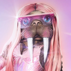Zzzzz 1786424316d17bae49 127d 4ca4 9eb1 96429a572c56 — masked singer faces option 743