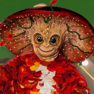 Zzzzz 17864268923ed17b6d 0255 4caf 9e08 B0bf38f4b841 — masked singer faces option 753