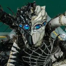 Zzzzz 1786426892cd51fa7b C3f4 4d0f Beb7 7472de14601a — masked singer faces option 755