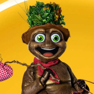 Zzzzz 178642689327db9760 Defc 4e9f Afb8 Ae96d162e3dc — masked singer faces option 765