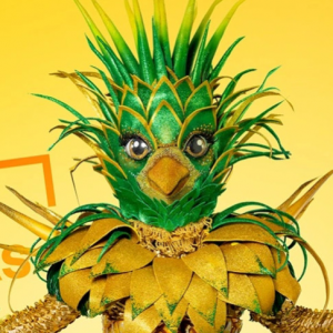 Zzzzz 17864268933089ff06 30bc 4fea A3c8 D647ab2ac639 — masked singer faces option 773