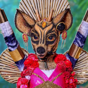 Zzzzz 1786426893932ee1ae D3e4 4fcd 8ecb 7363e24366af — masked singer faces option 762
