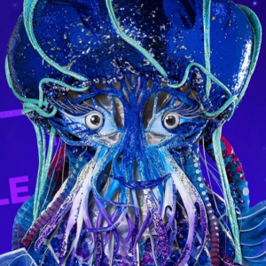 Zzzzz 178642689456398d09 E850 402f 979f Bea423d525b8 — masked singer faces option 774