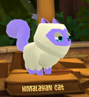 Himalayancat — All Animal Jam Animals (UPD: April 2024) option 27