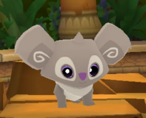 Koala1png — All Animal Jam Animals (UPD: April 2024) option 31