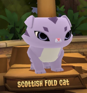 Scottishfoldcat — All Animal Jam Animals (UPD: April 2024) option 46