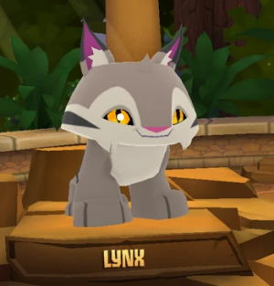 Screenshot2017 07 12 23 31 07 — All Animal Jam Animals (UPD: April 2024) option 48