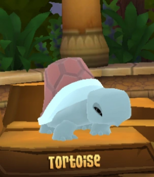 Screenshot2019 05 29at105819pm — All Animal Jam Animals (UPD: April 2024) option 65