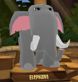 Screenshot2020 07 01at40338pm — All Animal Jam Animals (UPD: April 2024) option 75