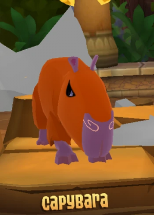 Screenshot2021 12 01at80853pm — All Animal Jam Animals (UPD: April 2024) option 83
