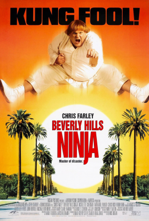 Zzzzz 1732409115beverly Hills Ninja — Movie Night option 116