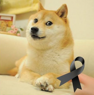 Zzzzz 1717628133images 712 — 2024 memes option 124
