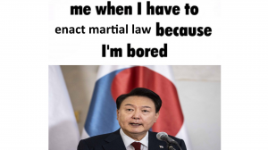 Zzzzz 1733286354cover4 — 2024 memes option 250