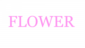 Flower — TYPE://SOUL RES/SHIKAI/SCHRIFT option 15