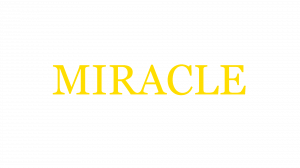 Miracle — TYPE://SOUL RES/SHIKAI/SCHRIFT option 24