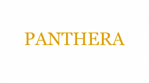 Panthera — TYPE://SOUL RES/SHIKAI/SCHRIFT option 25