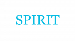 Spirit — TYPE://SOUL RES/SHIKAI/SCHRIFT option 32