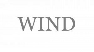 Wind — TYPE://SOUL RES/SHIKAI/SCHRIFT option 43