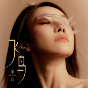 Zzzzz 17889245201000341643 — 2026 Kpop Releases ★ option 651