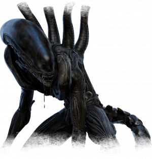 DBD Killer Tier List May 2024 (Dungeons and Dragons PTB) — option 3
