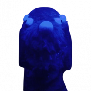 Carehound — DHMIS characters option 27