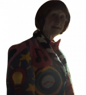 Lesleyhd — DHMIS characters option 78