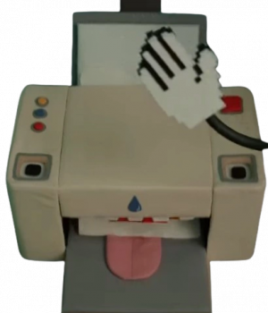 Printer — DHMIS characters option 107