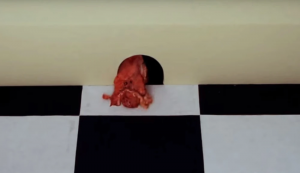 Rattyeatsentrails — DHMIS characters option 109