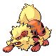 Arcanine — DPP UU VR 2024 option 6