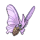 Venomoth — DPP UU VR 2024 option 85