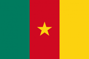 Captura De Pantalla 2024 07 10 171238 — MEJORES BANDERAS DE ÁFRICA option 8