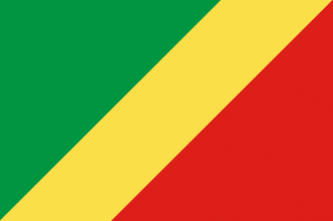 Captura De Pantalla 2024 07 10 171405 — MEJORES BANDERAS DE ÁFRICA option 11