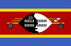 Captura De Pantalla 2024 07 10 172419 — MEJORES BANDERAS DE ÁFRICA option 17