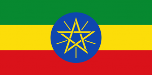 Captura De Pantalla 2024 07 10 172515 — MEJORES BANDERAS DE ÁFRICA option 18