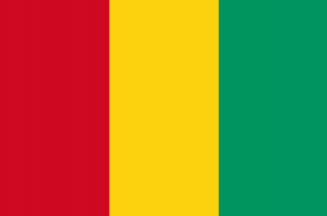 Captura De Pantalla 2024 07 10 172639 — MEJORES BANDERAS DE ÁFRICA option 22