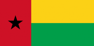 Captura De Pantalla 2024 07 10 172659 — MEJORES BANDERAS DE ÁFRICA option 23