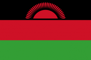 Captura De Pantalla 2024 07 10 173750 — MEJORES BANDERAS DE ÁFRICA option 30