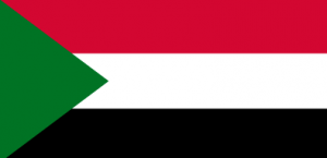 Captura De Pantalla 2024 07 10 174748 — MEJORES BANDERAS DE ÁFRICA option 47