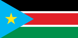 Captura De Pantalla 2024 07 10 174803 — MEJORES BANDERAS DE ÁFRICA option 48