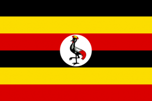 Captura De Pantalla 2024 07 10 174922 — MEJORES BANDERAS DE ÁFRICA option 52