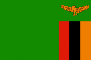 Captura De Pantalla 2024 07 10 174942 — MEJORES BANDERAS DE ÁFRICA option 53
