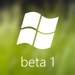 Zzzzz 1716665034build5112 — Microsoft Windows Operating System Tierlist (2024) option 25