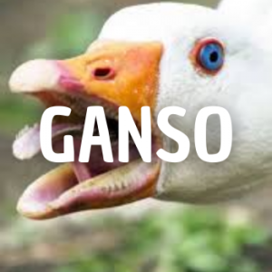 Ganso — Animais que Amassaria option 6