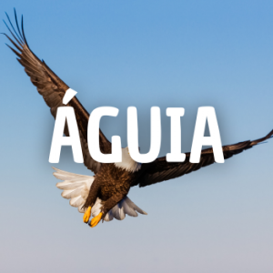 Guia — Animais que Amassaria option 9