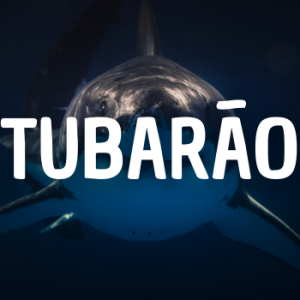 Tubaro — Animais que Amassaria option 25