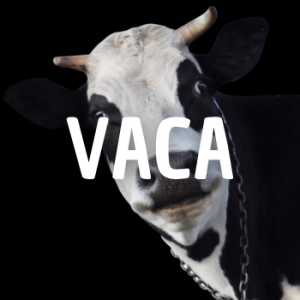 Vaca — Animais que Amassaria option 30